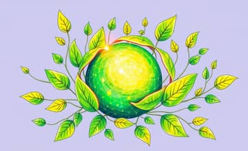 Blockchain e Sustentabilidade: Transparência para um Futuro Melhor